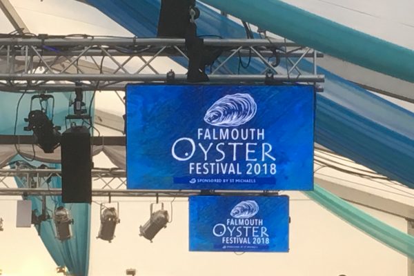 Falmouth Oyster Festival 2018